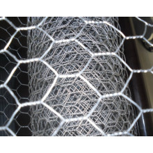 Galvanizado de arame de ferro de rede hexagonal de aves de frango malha (anjia-147)